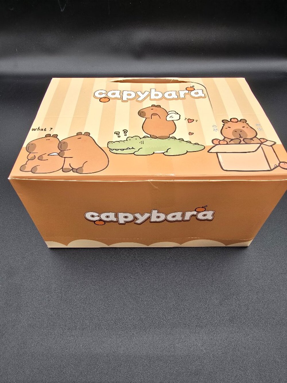 Capybara Stationery Blind Box Case 6pc Full Display Set NIB Wholesale